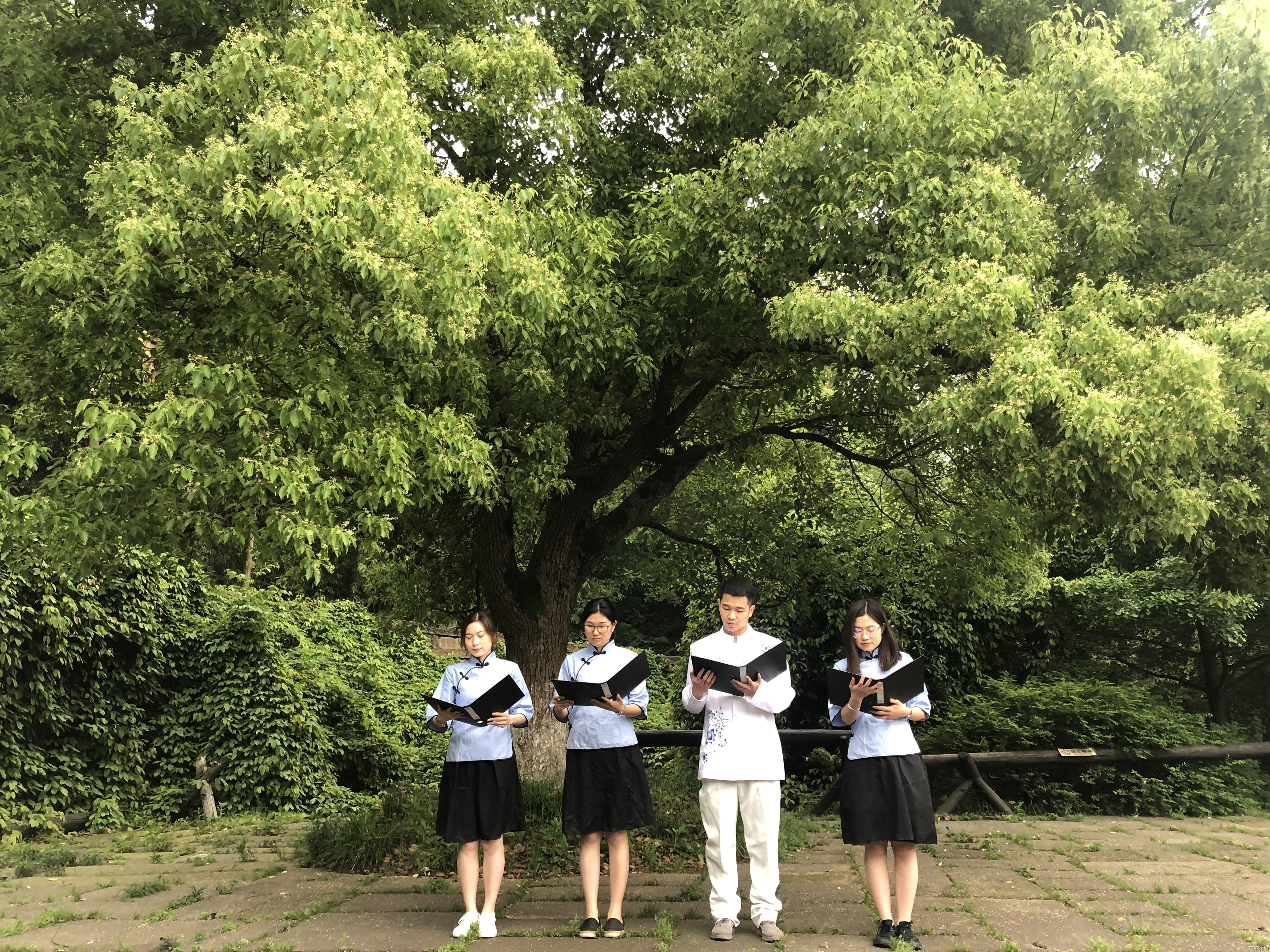 ��피��F(tu��n)��(�Ї����)�ٷ��W(w��ng)վ