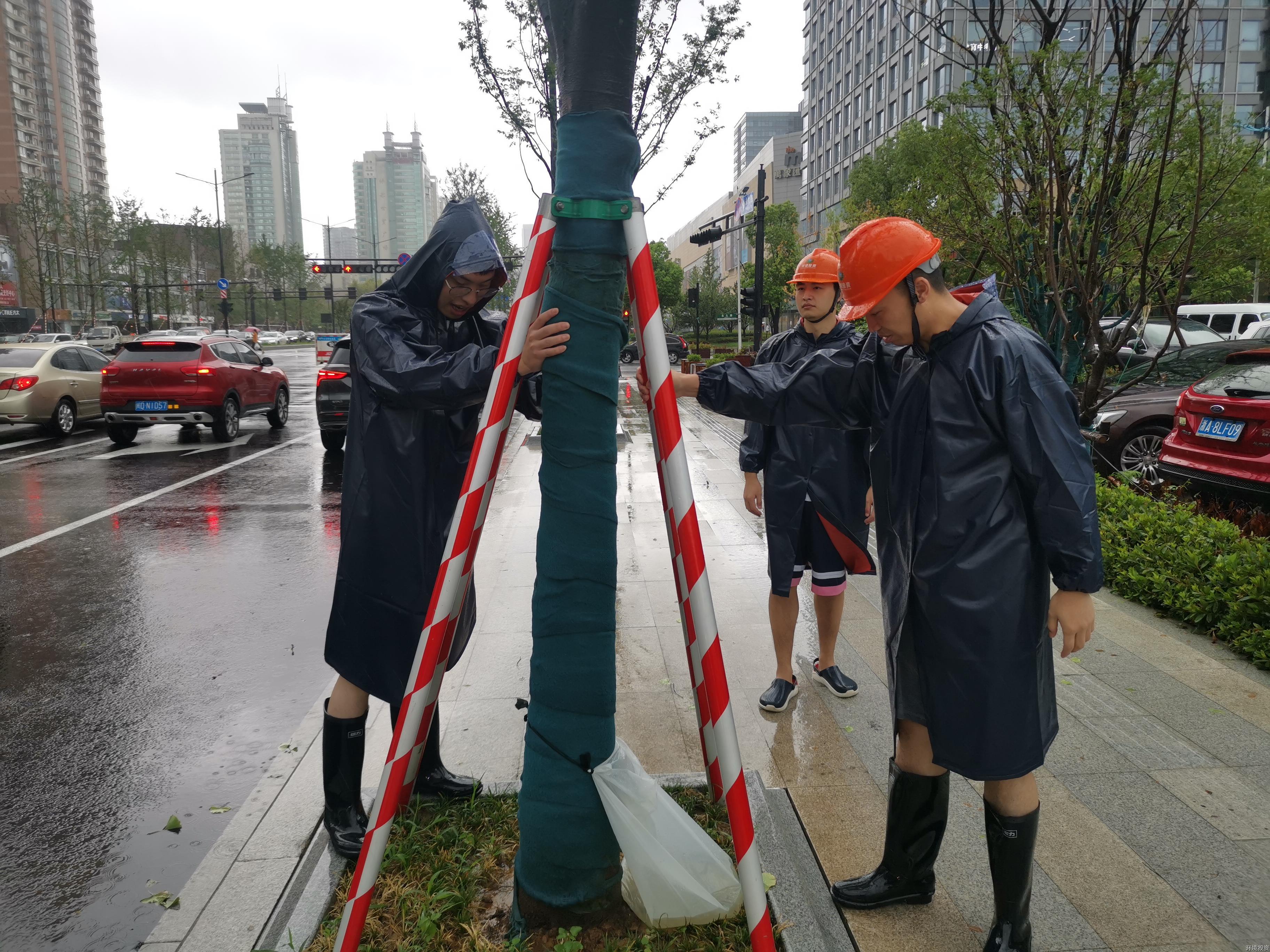 ��피��F��(�Ї����)�ٷ��W(w��ng)վ