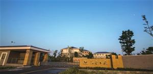 ��피��F(tu��n)��(�Ї����)�ٷ��W(w��ng)վ