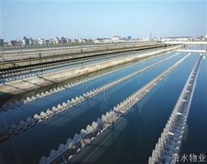 ��피��F(tu��n)��(�Ї����)�ٷ��W(w��ng)վ